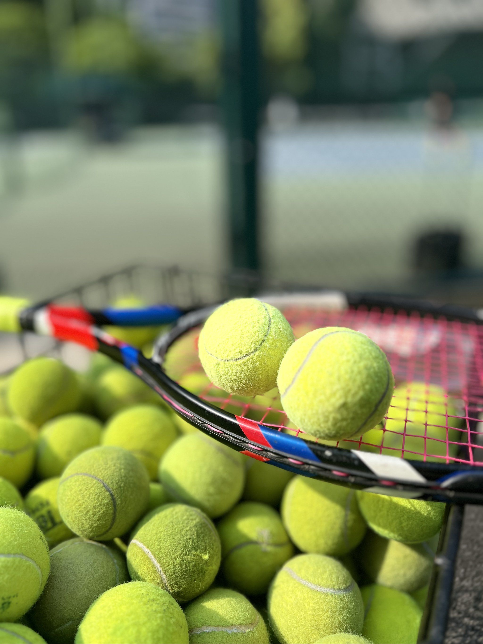 二者的共性 二者的共性